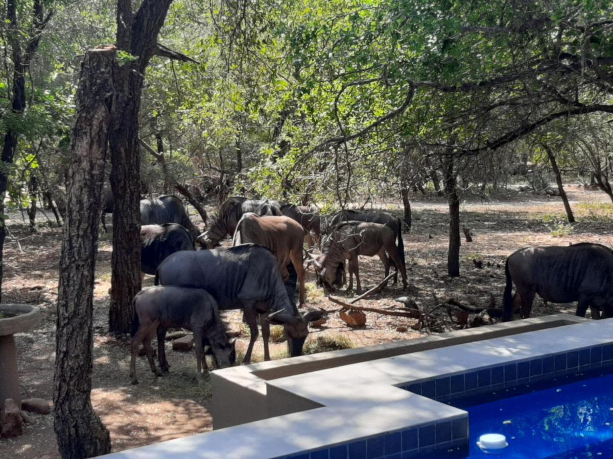 African Sky Villas Marloth Park Exteriör bild