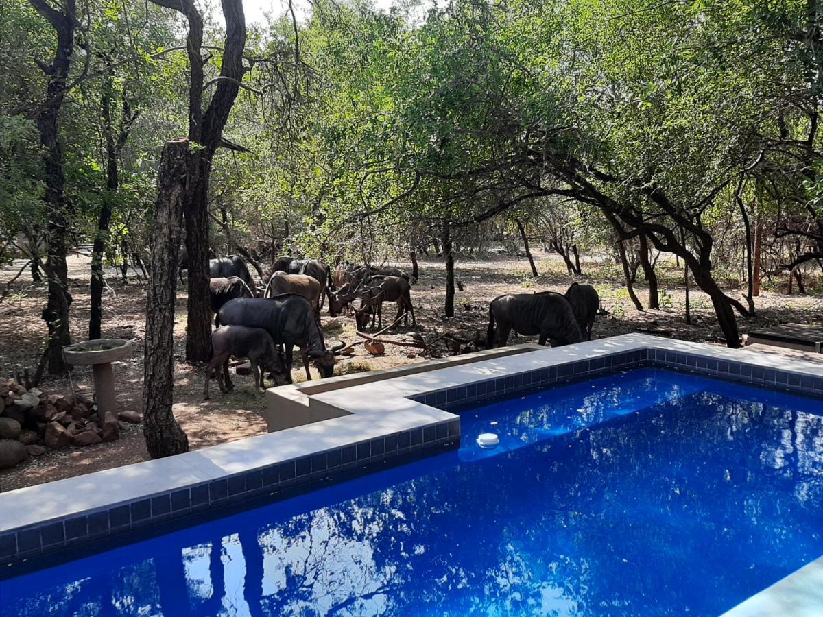 African Sky Villas Marloth Park Exteriör bild