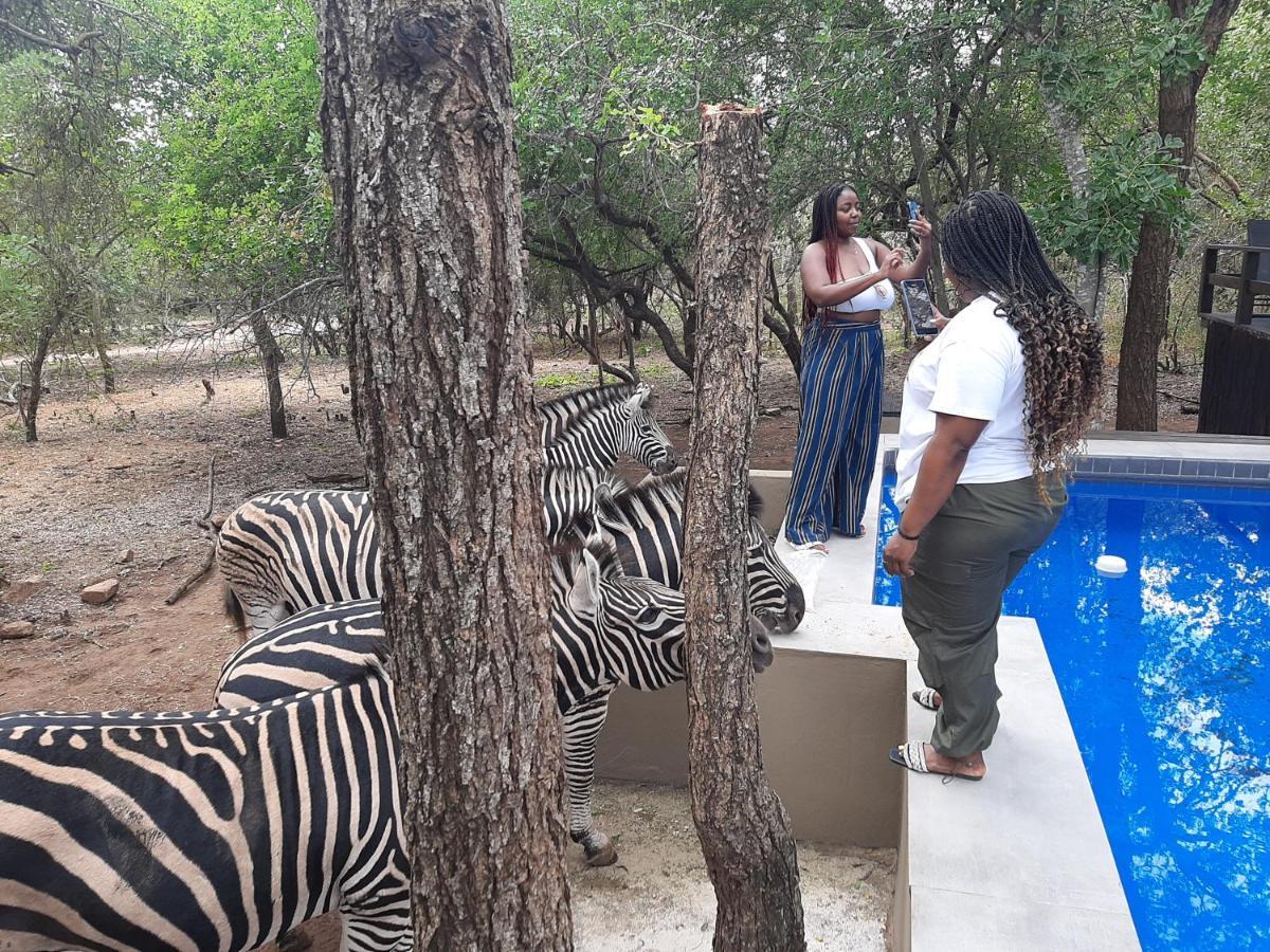 African Sky Villas Marloth Park Exteriör bild